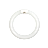Dazor Replacement Bulb
