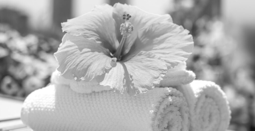 Black-and-white hibiscus flower resting on a rolled towel, suggesting a spa setting.