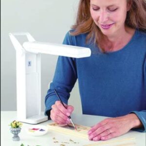 Daylight Compact Lamp - Closeout