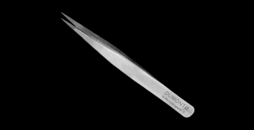 Stainless steel Dumont microtweezers with fine, pointed tips on a black background, close-up.