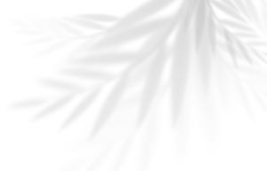 Close-up of a flower with long, pointed petals radiating from a central point.