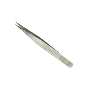 Fine-point stainless steel tweezer (DUMONT) used for precision handling in labs or surgery, with curved tips close together at the end, diagonal orientation.